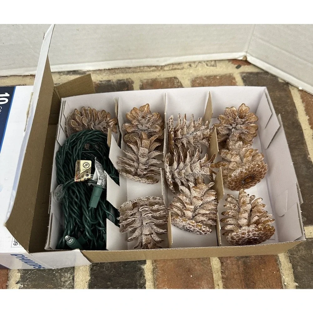 Warm White Pinecone Lights Indoor/Outodoor Frosted Brown LED Fall / Holiday